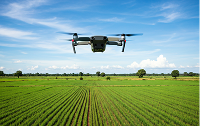 Surveillance et analyse des cultures par drone lors d'un projet Agritech développé au Hfablab.