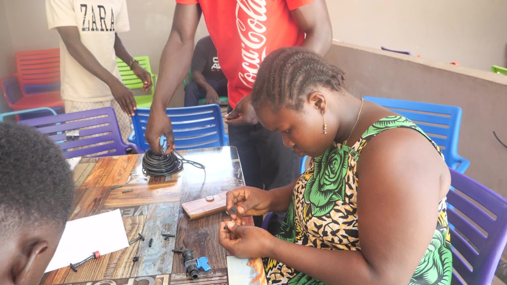 formation en ysème d'irrigation goutte à goutte à Akoi N'denou par Hfablab